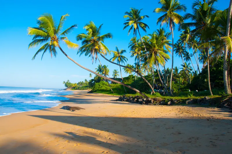 Pristine Sri Lankan beach